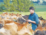 NZAEL manager Andrew Fear says it’s important for farmers to make use of the fertility trait change.