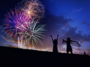 Many measures can be taken to keep people and animals safe this Guy Fawkes. 