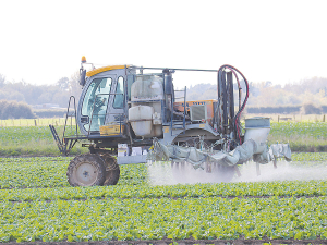 AgResearch senior scientist Dr Trevor James says research has found more than 50% of the arable farms and vineyards surveyed have weed strains resistant to commonly used herbicides.