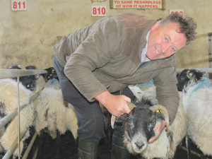 Irish farmer Eamon Nee says poor sheep prices are forcing him to seek work off farm.