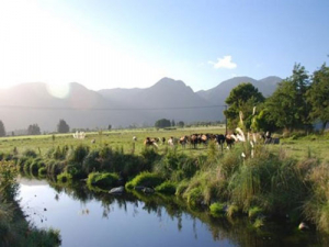 Kiwis can be confident that dairy farmers are ‘walking their environmental talk’, says the chair of the Dairy Environment Leaders’ Group, Alister Body.