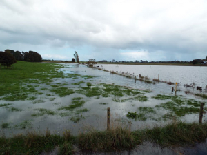 Bank’s assistance package for flood-hit farmers