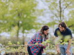 Former horticulture students Cassandra Holley and Doug Minty monitoring in the Central Campus vineyard.