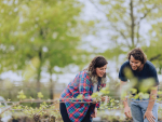 Former horticulture students Cassandra Holley and Doug Minty monitoring in the Central Campus vineyard.