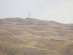 Parched hills in Hawke's Bay.