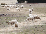 NIWA’s principal scientist Chris Brandolino warns that weather patterns are emerging that will likely cause the early arrival of El Nino.