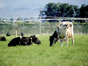 Tech can flag issues in real time, and nutrition often gives us the levers to correct them.