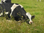 “It’s time for dairy farmers to take action to meet these basic obligations,