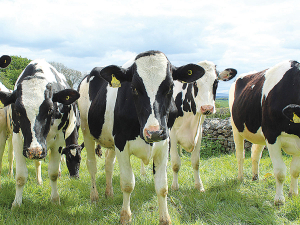 FE could be a problem in two or three weeks time, so farmers are urged to keep a really close watch on spore count levels and start zinc treatment right now.