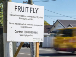 A field crew continues work in the suburb of Devonport today.