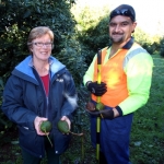 Taskforce Green crews start storm recovery work