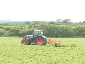 Silage is just picked grass.