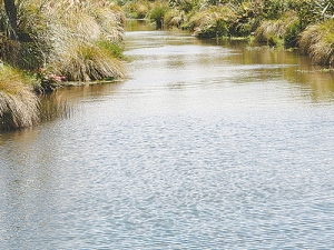 Gypsum helps mitigate flow of nitrates into waterways.