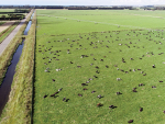 Hilderthorpe dairy farm which recently sold for $8.35 million.