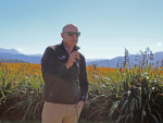 Pernod Ricard Winemakers South Island Operations Manager Tony Robb.