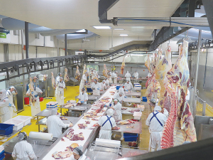 The meat sector is asking any new government for some changes to policies due to the cumulative economic impact of poorly crafted rules on the industry.