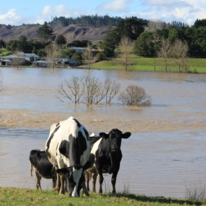 Minimise storm impact