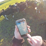 Faster broadband a boon to dairying