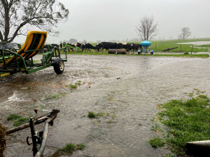 Flooding on Cherie Chubb&#039;s farm in Takaka. Photo Credit: Cherie Chubb.