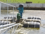 Farm dairy effluent is a natural, dilute liquid fertiliser.