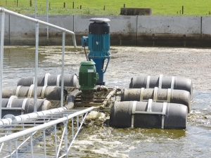 Farm dairy effluent is a natural, dilute liquid fertiliser.