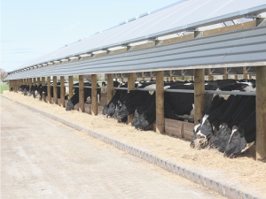 Herd Homes structures follow neither a traditional Kiwi grazing method or a traditional European housing method.