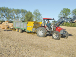 Waikato farmers are now dipping into their winter reserves to feed cows.