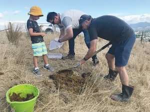 Marlborough District Council staff Alan Johnson and David Aires, with little helper Huxley Whitaker-Johnson, releasing dung beetles at Wither Hills Farm Park.