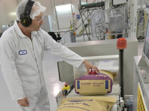 Milk processing in Studholme factory.