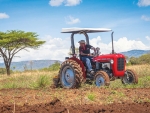 Massey Ferguson MF35.