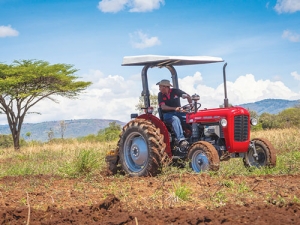 Massey Ferguson MF35.