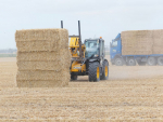 A team from Southbridge-based EAL Agriservices Group loads up new season’s barley straw from a 22ha paddock on Grant and Bruce Perry’s farm at Barrhill, Mid-Canterbury. EAL boss Tim Ridgen said the straw followed a “great” crop of barley. Harvesting of autumn-sown crops is now in full swing in the province with soaring summer temperatures, although a wet early season has been blamed for a spike in fungal diseases for some. Photo: Rural News Group.