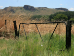 The farm was identified through the tracing of animals from known infected farms.