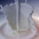 Guaranteed milk price scheme piloted