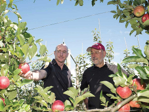 Plant and Food Research’s Dr Ben van Hooijdonk (L) and Dr Stuart Tustin have been working on an MBIE funded research programme called Future Orchard Planting Systems or FOPS.