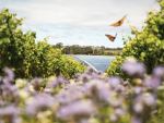 Yealands and a global effort to decarbonise wine