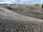 In the past few weeks, the rain has come to Hawkes Bay and paddocks are greening up the brown landscape like it was in the region when this photo was taken back in June.