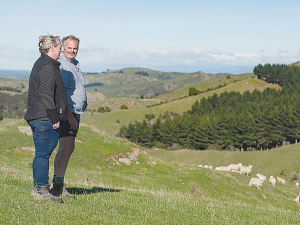 Ali and Dion Kilmister overlooking their Wairarapa farm, one of four properties they own where they finish 17,000 lambs and 600 cattles a year.