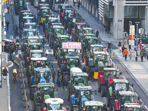 Farmer protests across the 27-nation EU have brought traffic to a standstill in capitals from Berlin to Paris, Brussels and Rome.