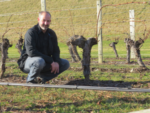 Mark Krasnow with above ground irrigation beside subsurface irrigation trial.