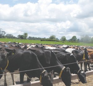 To raise production, rethink feed inputs