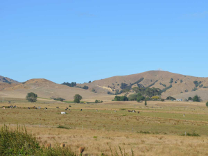 Drought support has been expanded and extended across the country.