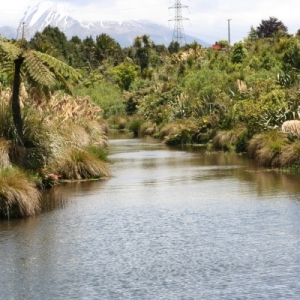 Taranaki recognised for riparian management