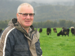Westland chair to step down