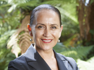Māori Leaders Back NZ–India FTA but Warn Benefits Are Uneven