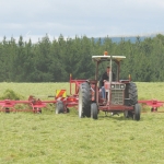 More grass is being fed to cows and less cut for silage