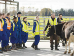 DairyNZ says the dairy sector is committed to quality workplaces as one of its top priorities.