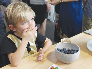 Plant &amp; Food Research says it is making 11 new blueberry varieties available to New Zealand-based growers.