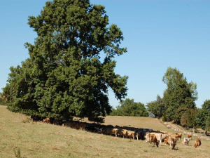 Soil moisture levels are significantly below historical averages across much of the country.