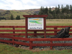 The National Party says it will offer state-owned Landcorp farms to young farmers.